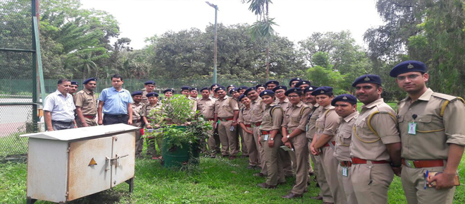 Assistant Conservator Of Forest Mp